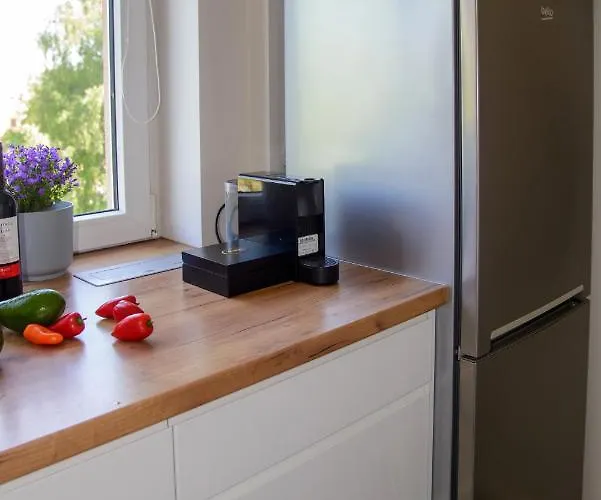 Maya's Flats & - Szopy グダニスク