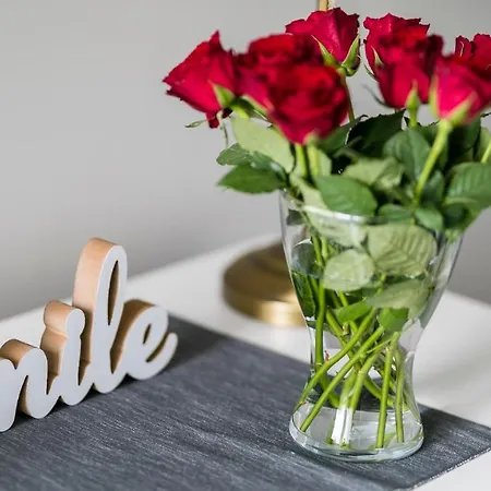 Maya's Flats & - Szopy Gdaňsk