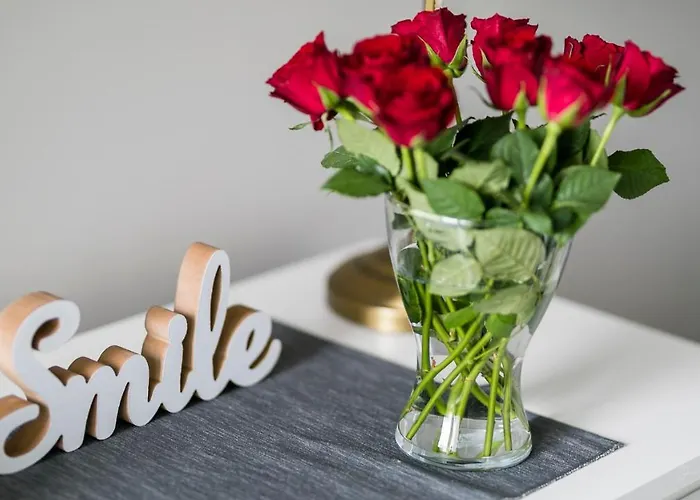 Maya's Flats & - Szopy غدانسك